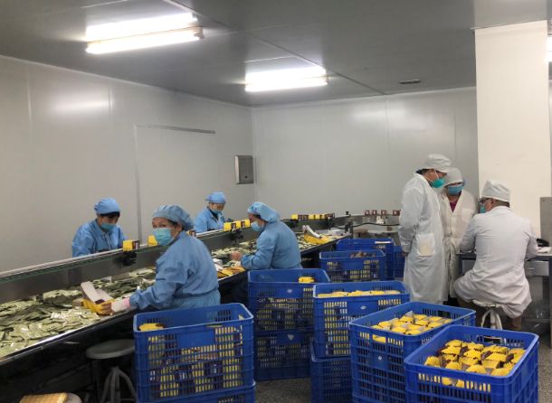 【初心如磐，，使命在肩】必发7790第三党支部组织员工提前复工包管生产